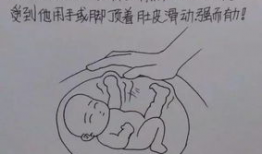 怀孕生子漫画,漫画记录怀孕生子的温馨历程